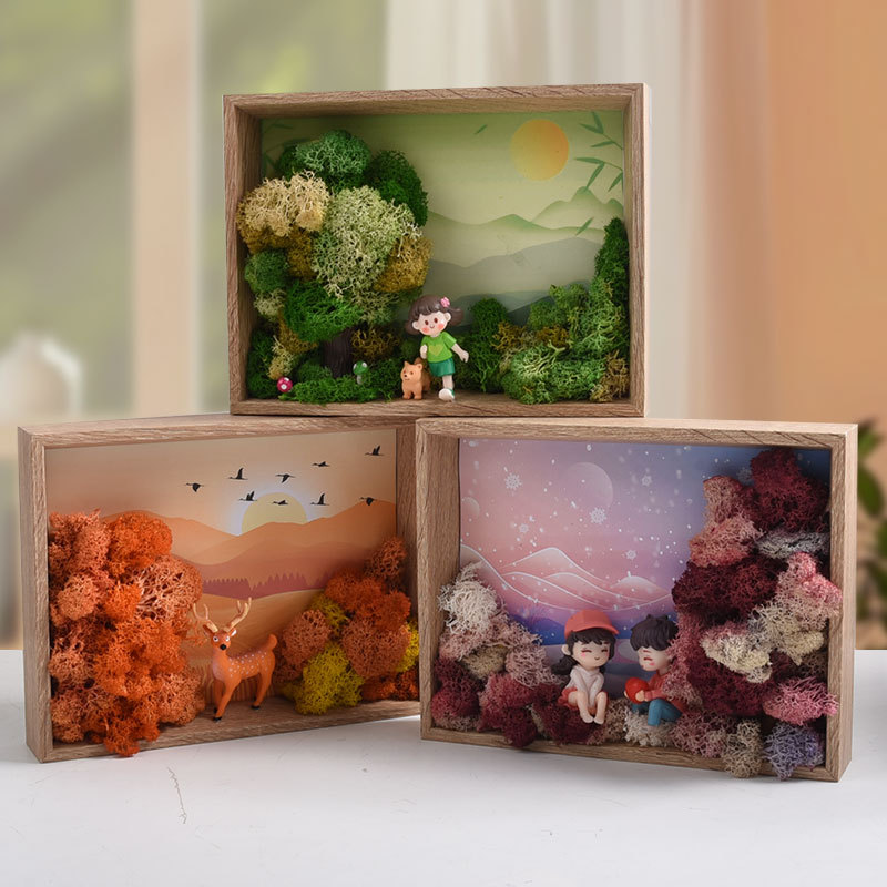 Seaweed Art DIY Kit - 3D Frame - Plant Parent Gift Set avis et prix