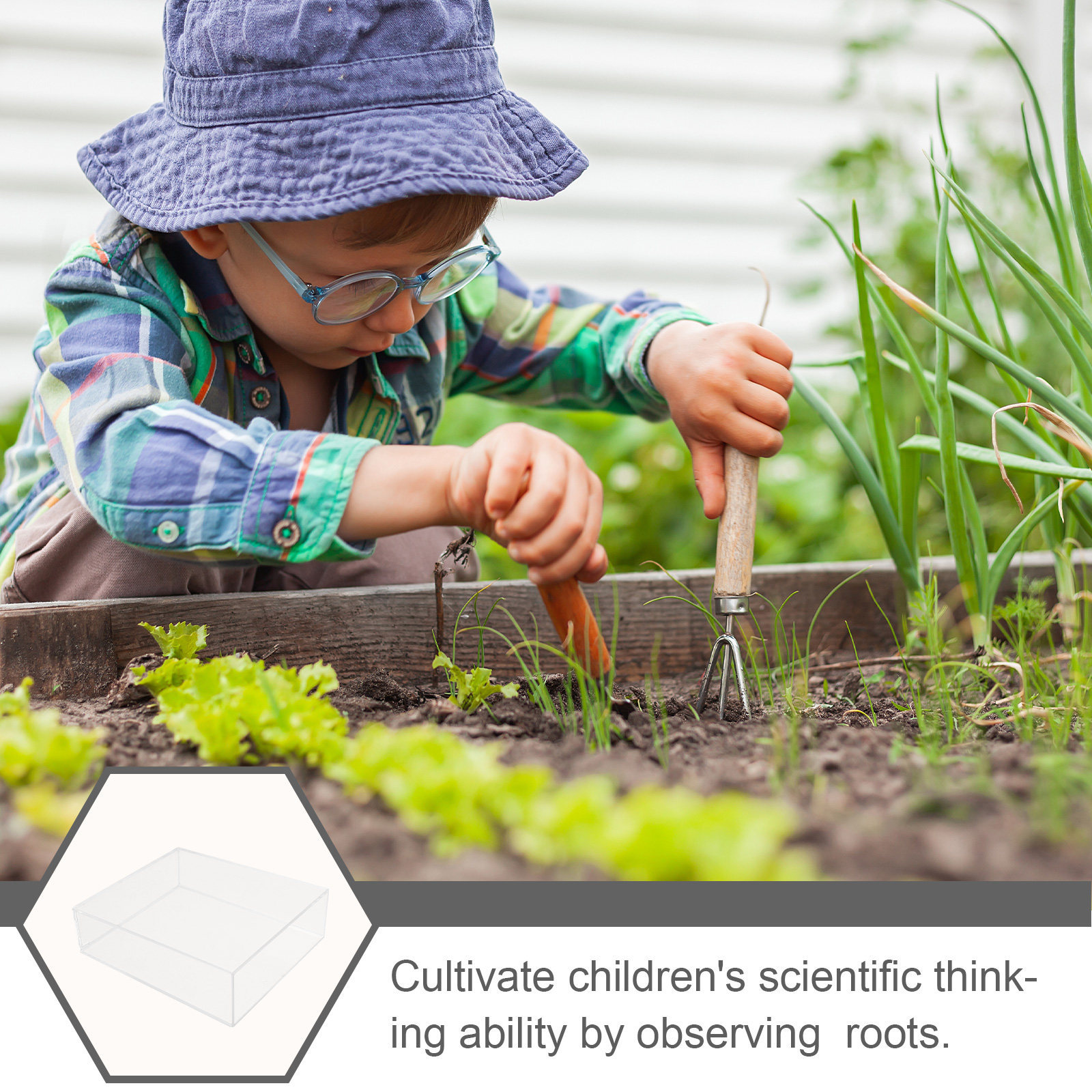 Kids Root Viewer Growing Plant - Plant Parental avis et prix