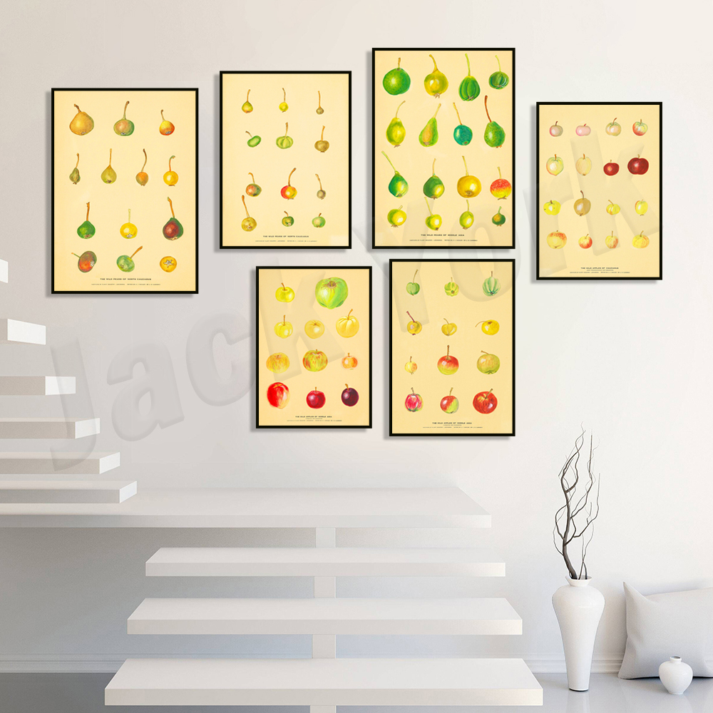Fruit Kitchen Poster Vintage P - Plant Jackfruit avis et prix