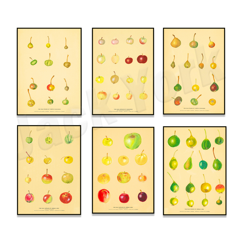Fruit Kitchen Poster Vintage P - Plant Jackfruit avis et prix