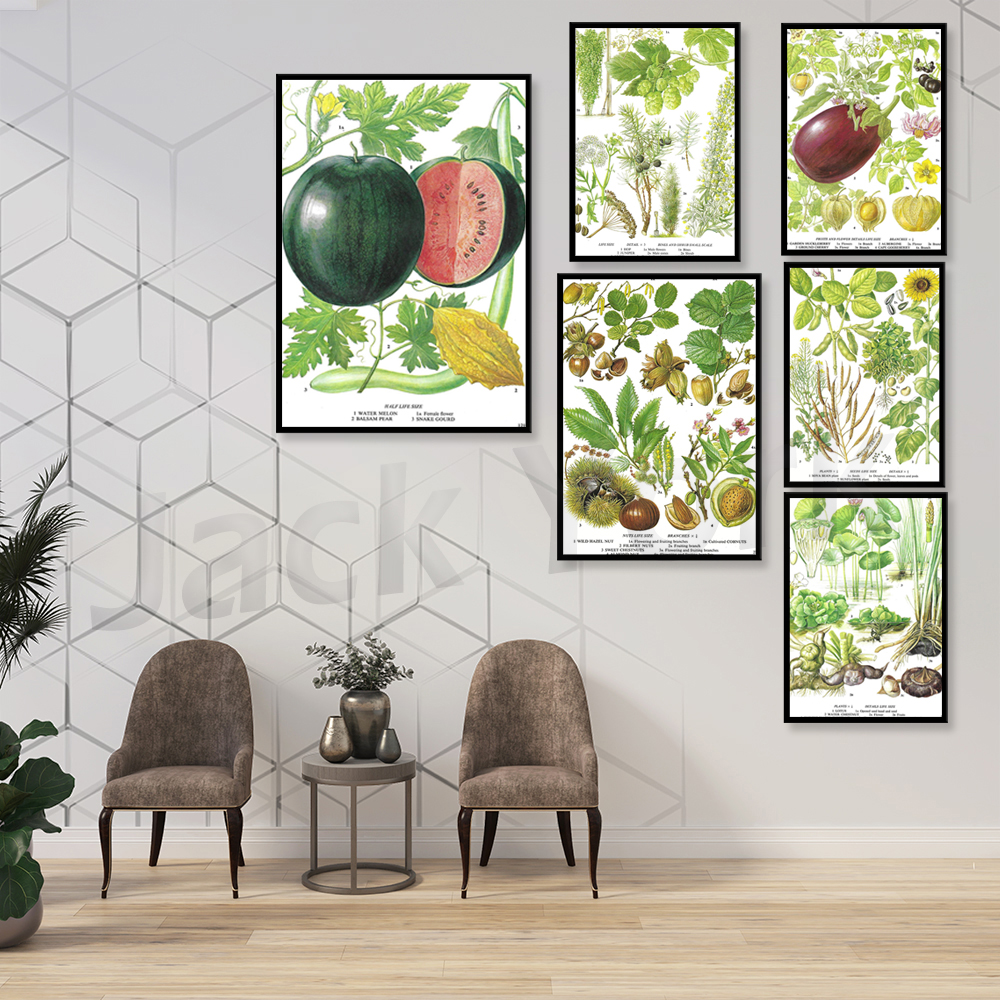 Aubergine, Egg Plant, Gooseber - Plant Jackfruit avis et prix