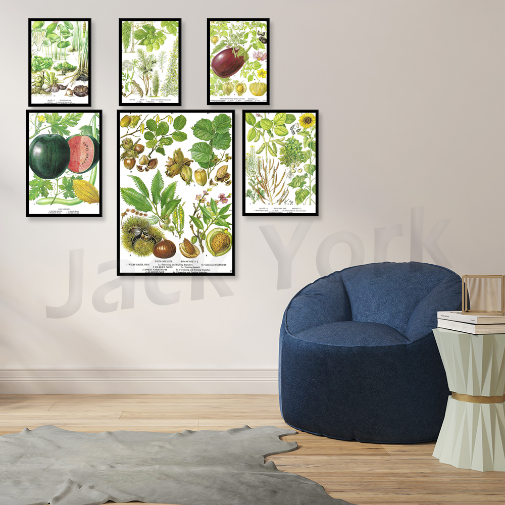 Aubergine, Egg Plant, Gooseber - Plant Jackfruit avis et prix