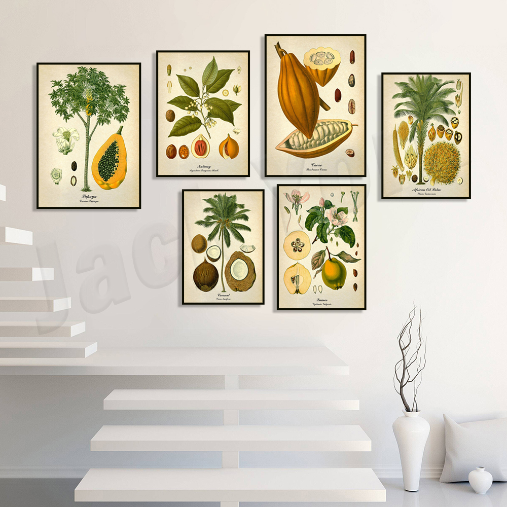 Vintage botanical poster, palm - Plant Jackfruit avis et prix