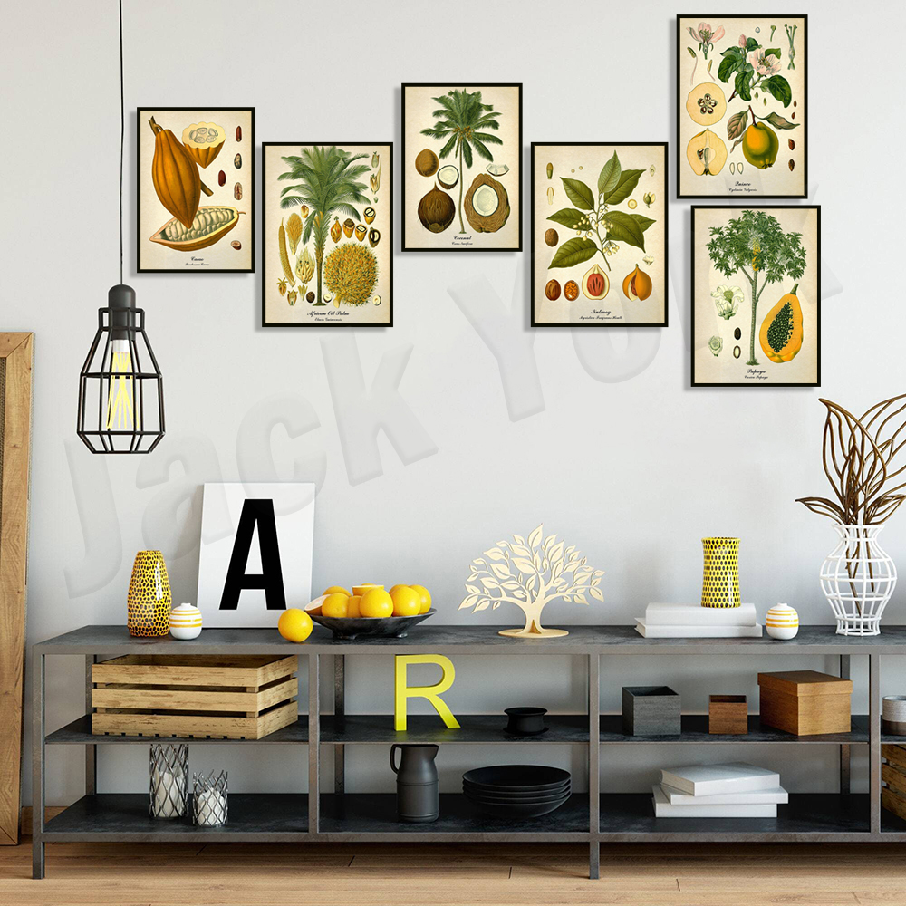 Vintage botanical poster, palm - Plant Jackfruit avis et prix