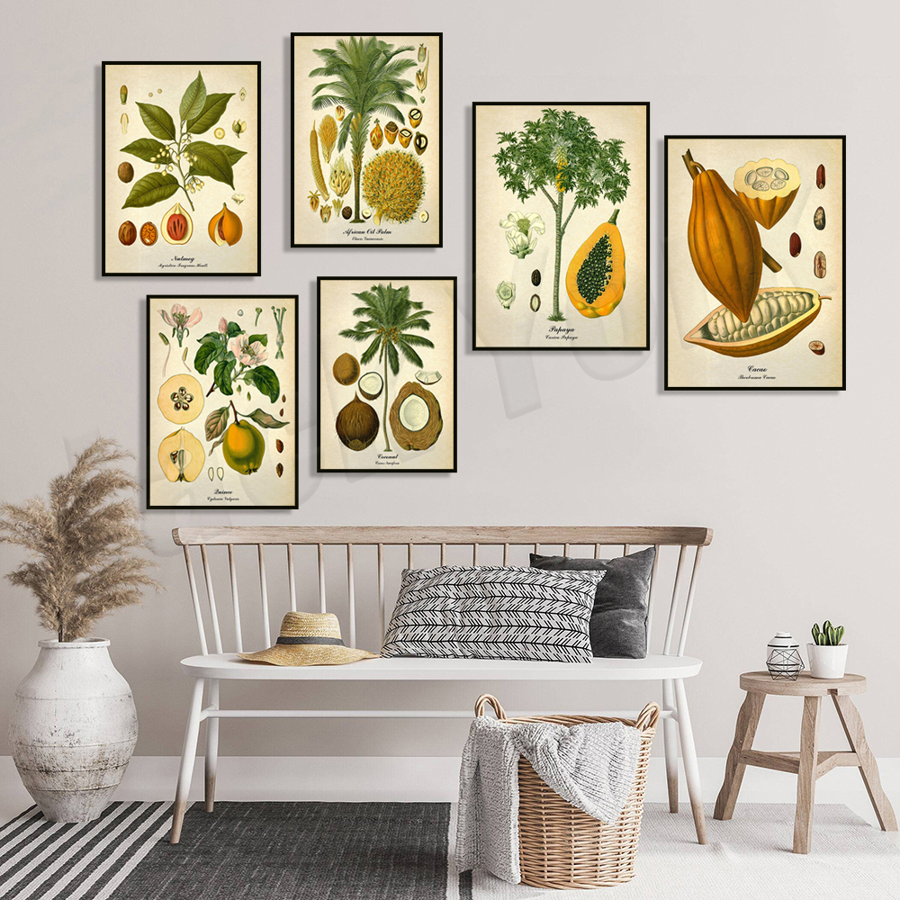Vintage botanical poster, palm - Plant Jackfruit avis et prix